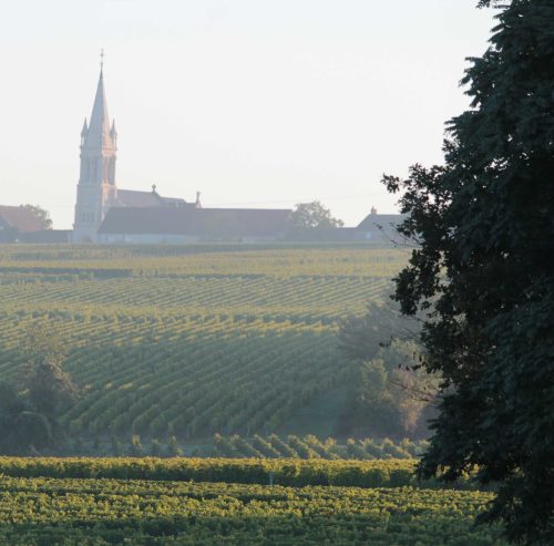 Domaine de la Loge Pouilly Fumé Saint Andelain